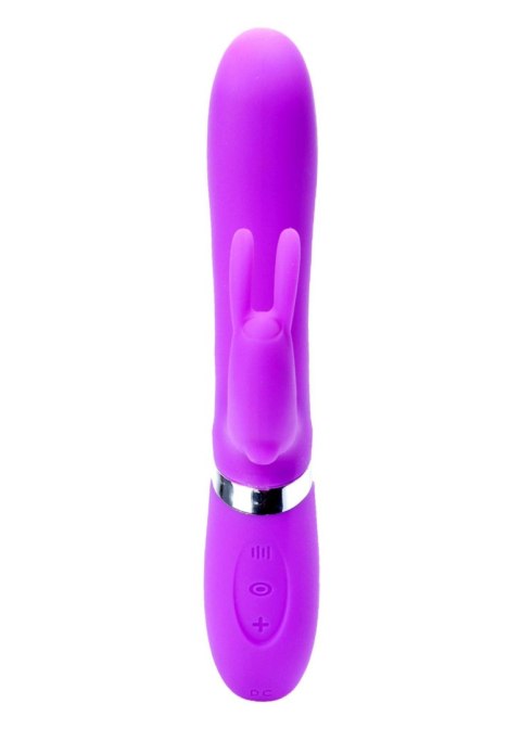 Wibrator-CLARA Purple 12 vibration and 6 pulsation functions USB B - Series Lyla