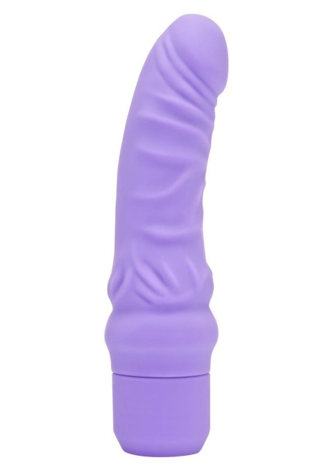 Mini Classic G-Spot Vibrator Purple ToyJoy Mini Classic G-Spot Vibrator Purple ToyJoy