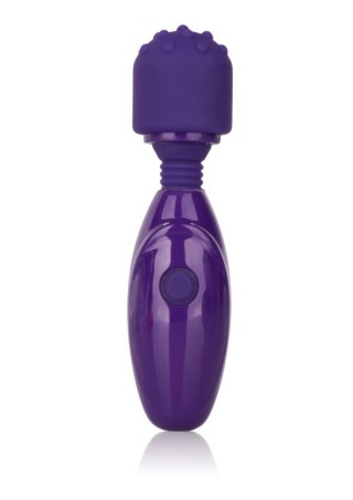 Tiny Teasers Nubby Purple Calexotics