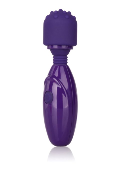 Tiny Teasers Nubby Purple Calexotics Tiny Teasers Nubby Purple Calexotics