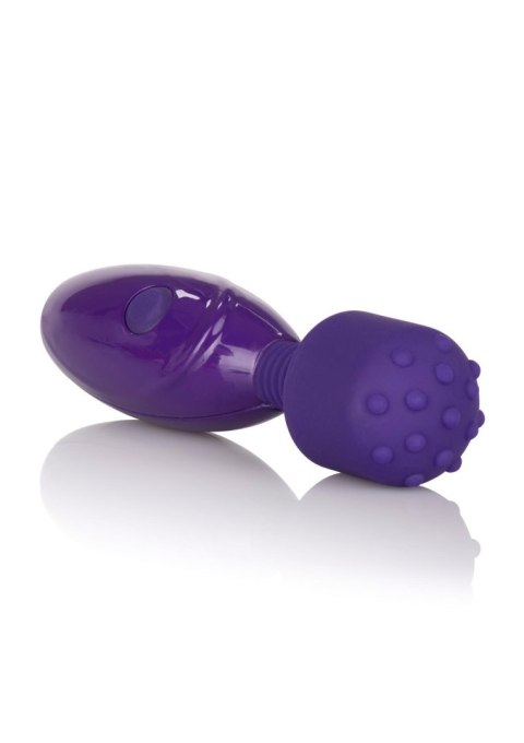 Tiny Teasers Nubby Purple Calexotics Tiny Teasers Nubby Purple Calexotics