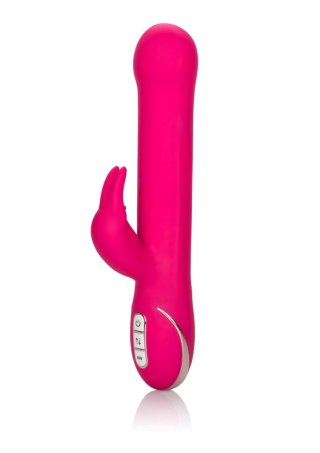 Beaded Rabbit Signature Pink Calexotics