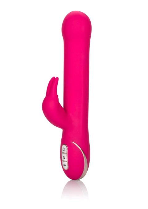 Beaded Rabbit Signature Pink Calexotics