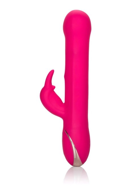 Beaded Rabbit Signature Pink Calexotics