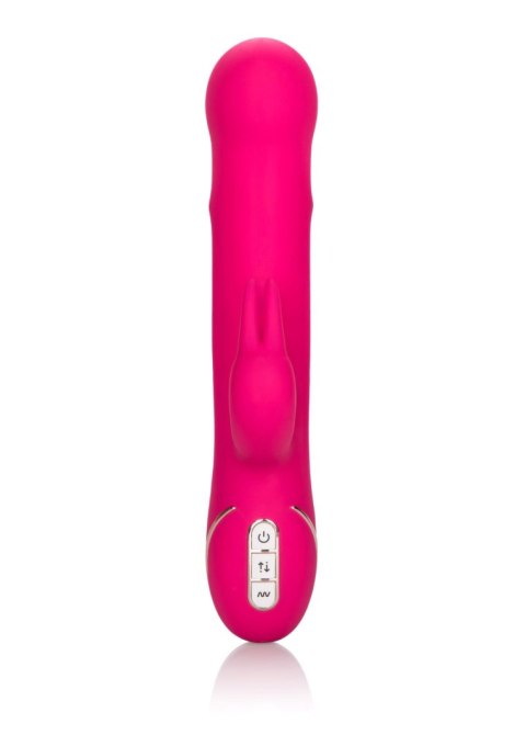 Beaded Rabbit Signature Pink Calexotics