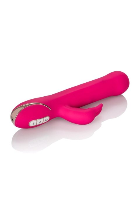 Beaded Rabbit Signature Pink Calexotics