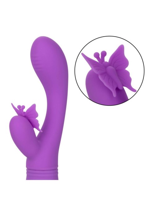 Butterfly Kiss Flutter Purple Calexotics
