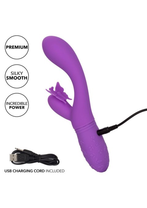 Butterfly Kiss Flutter Purple Calexotics