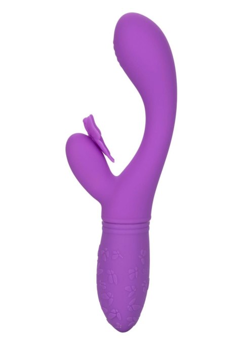 Butterfly Kiss Flutter Purple Calexotics