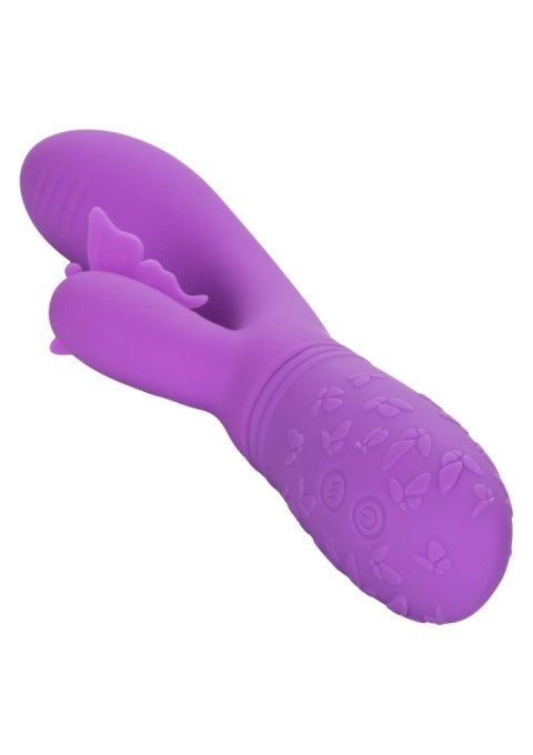 Butterfly Kiss Flutter Purple Calexotics