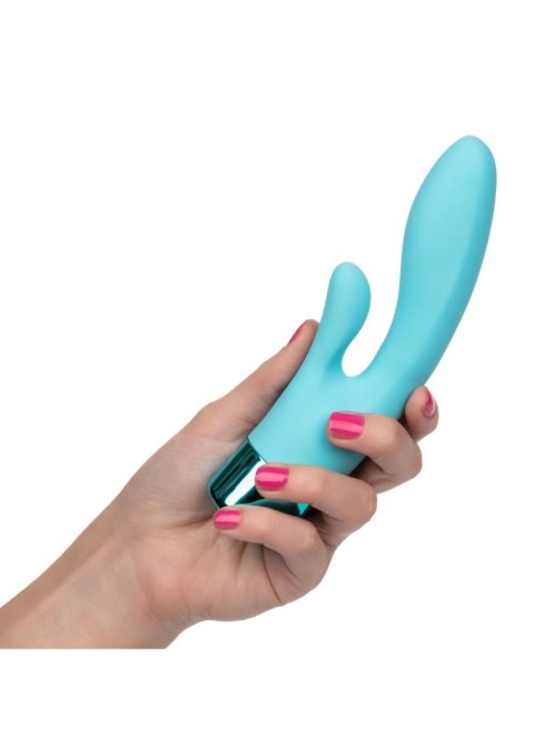 Eden Lover Aqua Calexotics