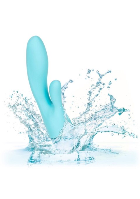 Eden Lover Aqua Calexotics