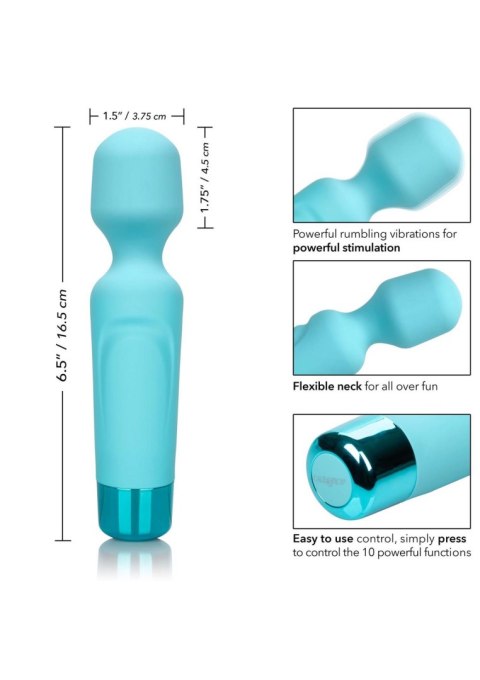 Eden Wand Aqua Calexotics