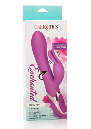 Enchanted Bunny Purple Calexotics