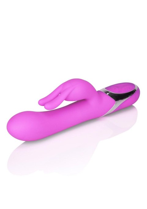 Enchanted Bunny Purple Calexotics Enchanted Bunny Purple Calexotics