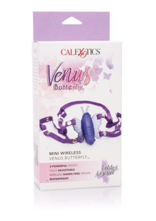 Mini-Wireless Venus Butterfly Purple Calexotics