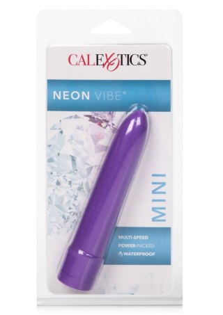 Neon Vibe Purple Calexotics