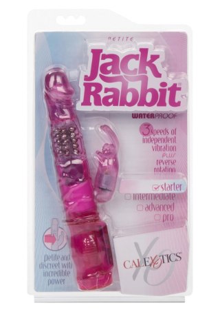 Petite Jack Rabbit Pink Calexotics