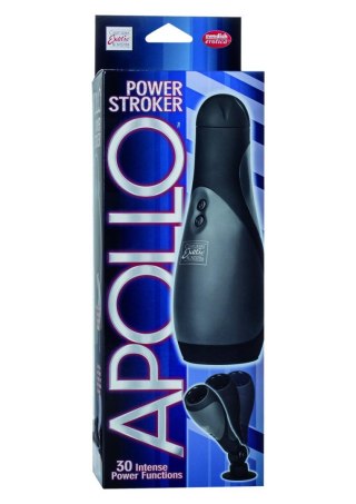 Power Stroker Black Calexotics