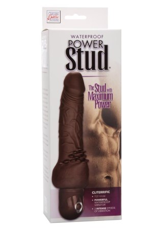 Power Stud Cliterrific Brown skin tone Calexotics