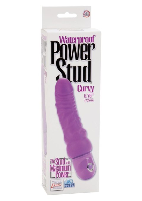 Power Stud Curvy Purple Calexotics Power Stud Curvy Purple Calexotics