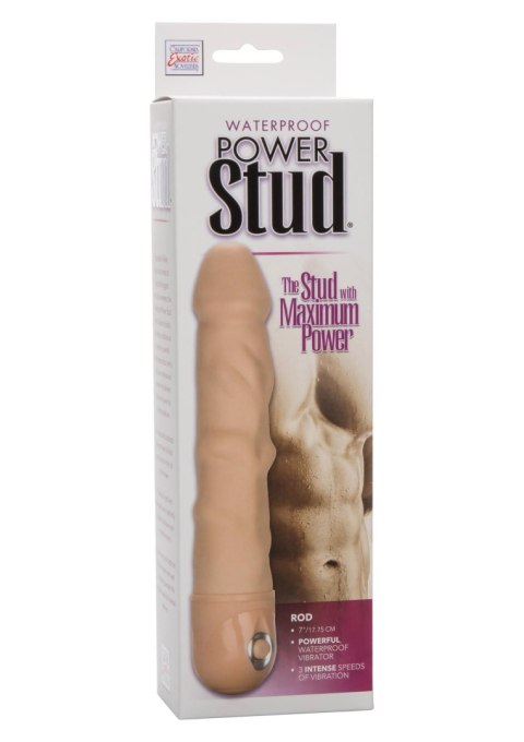 Power Stud Rod Light skin tone Calexotics