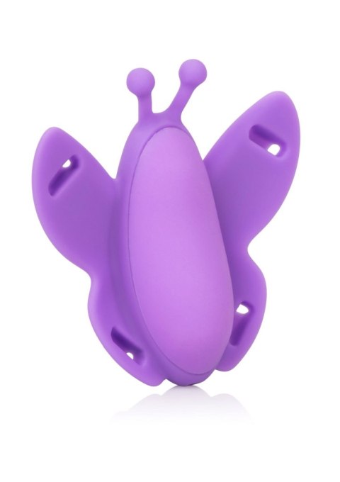 Remote Wireless Butterfly Purple Calexotics Remote Wireless Butterfly Purple Calexotics