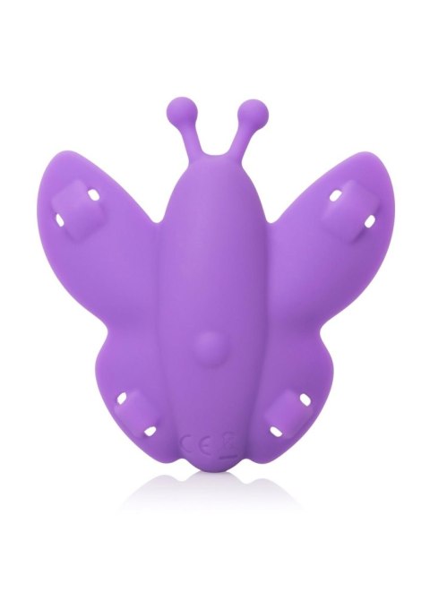 Remote Wireless Butterfly Purple Calexotics Remote Wireless Butterfly Purple Calexotics