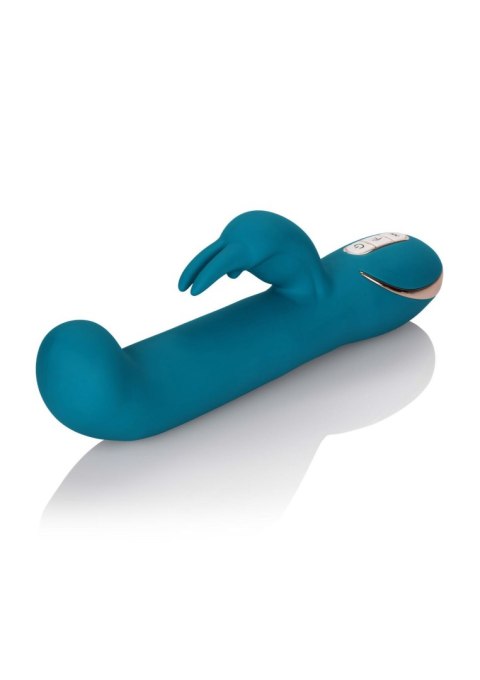 Rocking G Rabbit Signature Blue Calexotics