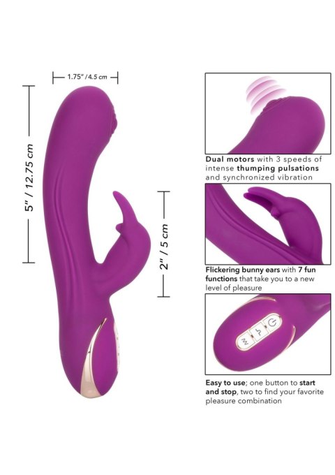 Silicone Thumping Rabbit Purple Calexotics