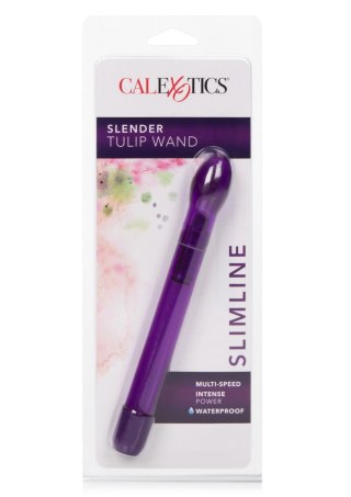 Slender Tulip Wand Violet Calexotics