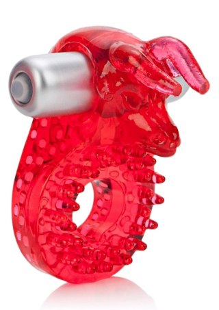 Couples Raging Bull Red Calexotics