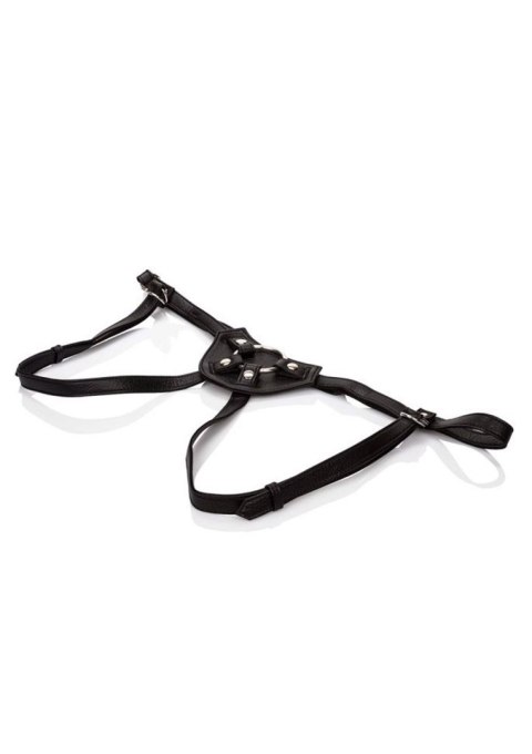 Her Royal Harness The Countess Black Calexotics Her Royal Harness The Countess Black Calexotics