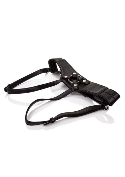 Her Royal Harness The Empress Black Calexotics Her Royal Harness The Empress Black Calexotics