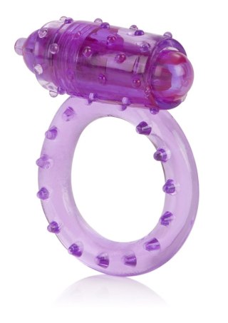 One Touch Nubby Purple Calexotics