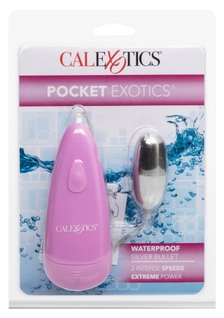Pocket Waterproof Bullet Silver Calexotics
