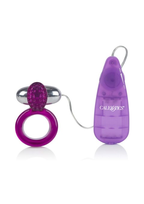 Ring Of Passion Purple Calexotics Ring Of Passion Purple Calexotics