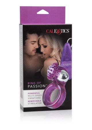 Ring Of Passion Purple Calexotics