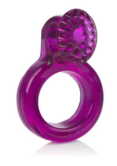Ring Of Passion Purple Calexotics Ring Of Passion Purple Calexotics