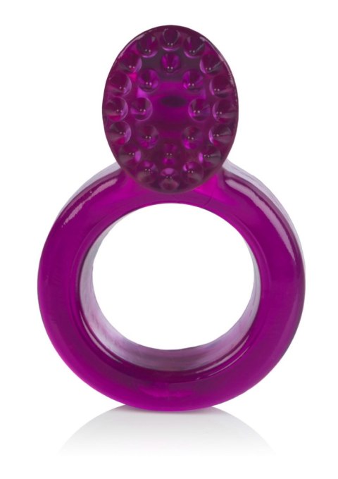 Ring Of Passion Purple Calexotics Ring Of Passion Purple Calexotics
