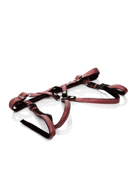 The Regal Duchess Red Calexotics The Regal Duchess Red Calexotics