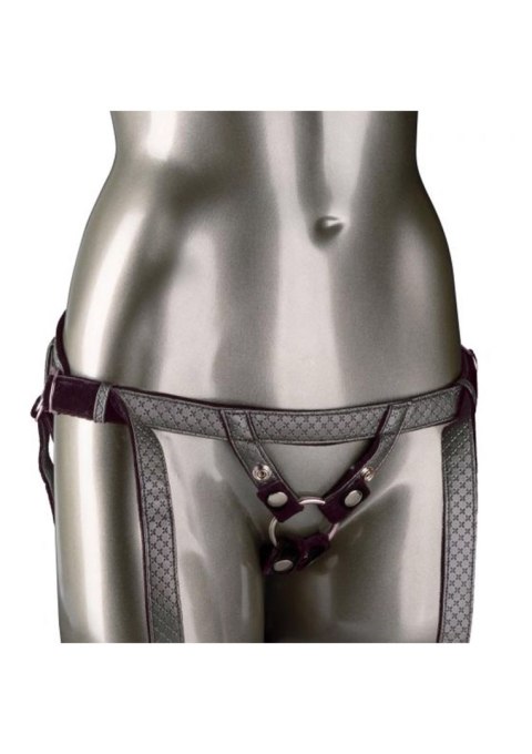 The Regal Duchess Silver Calexotics The Regal Duchess Silver Calexotics