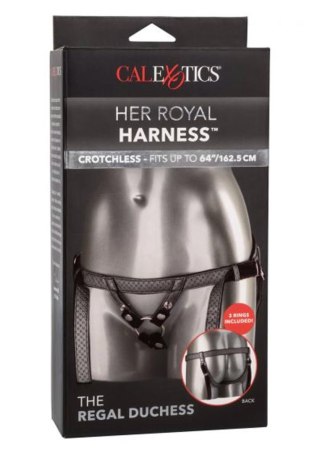 The Regal Duchess Silver Calexotics