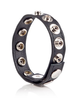 COLT Leather C/B Strap 8-snap Black Calexotics