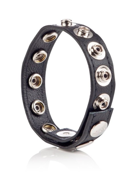 COLT Leather C/B Strap 8-snap Black Calexotics COLT Leather C/B Strap 8-snap Black Calexotics