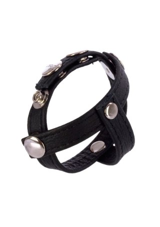 COLT Leather H-Piece Divider Black Calexotics