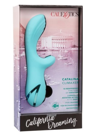 Catalina Climaxer Blue Calexotics