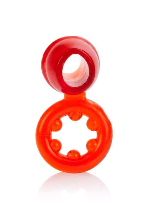 Dual Support Magnum Ring Red Calexotics Dual Support Magnum Ring Red Calexotics