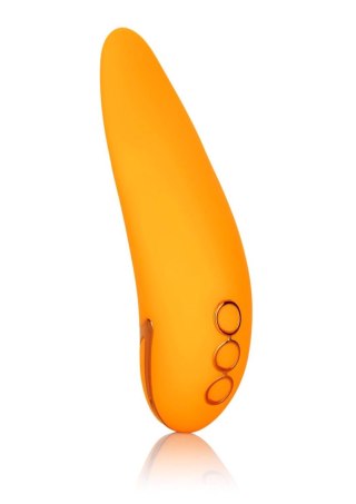 Hollywood Hottie Yellow Calexotics