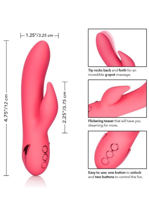 San Francisco Sweetheart Pink Calexotics San Francisco Sweetheart Pink Calexotics